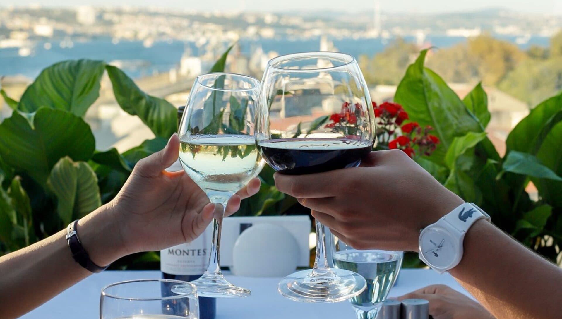 Business Dinner in Sirkeci — Professional Bosphorus-View Evening